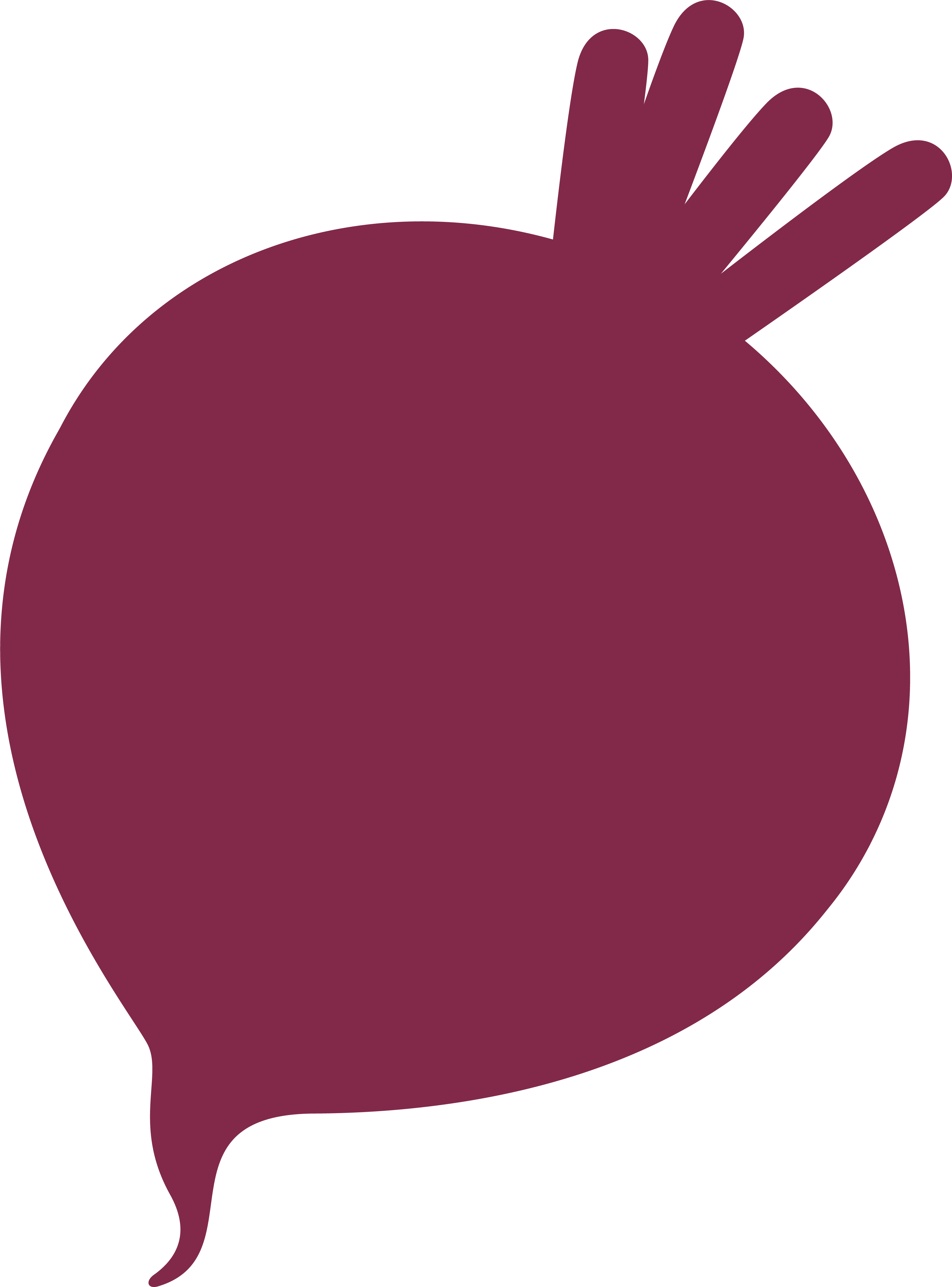 Beetroot  icon