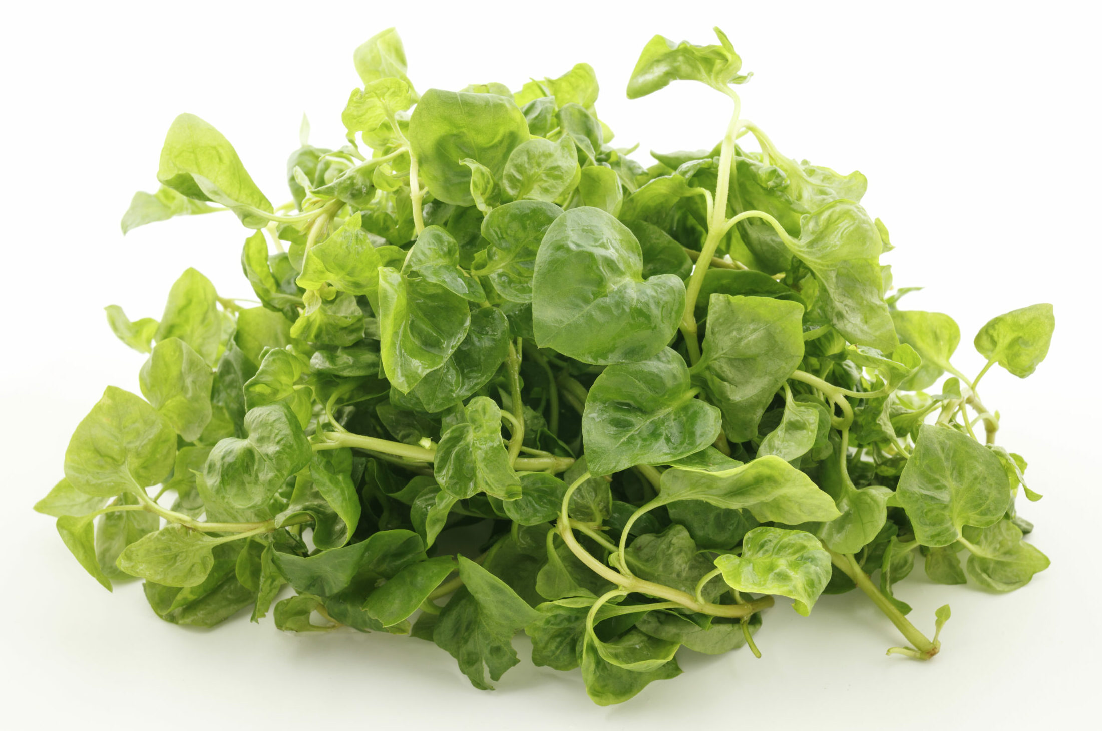 watercress on white background