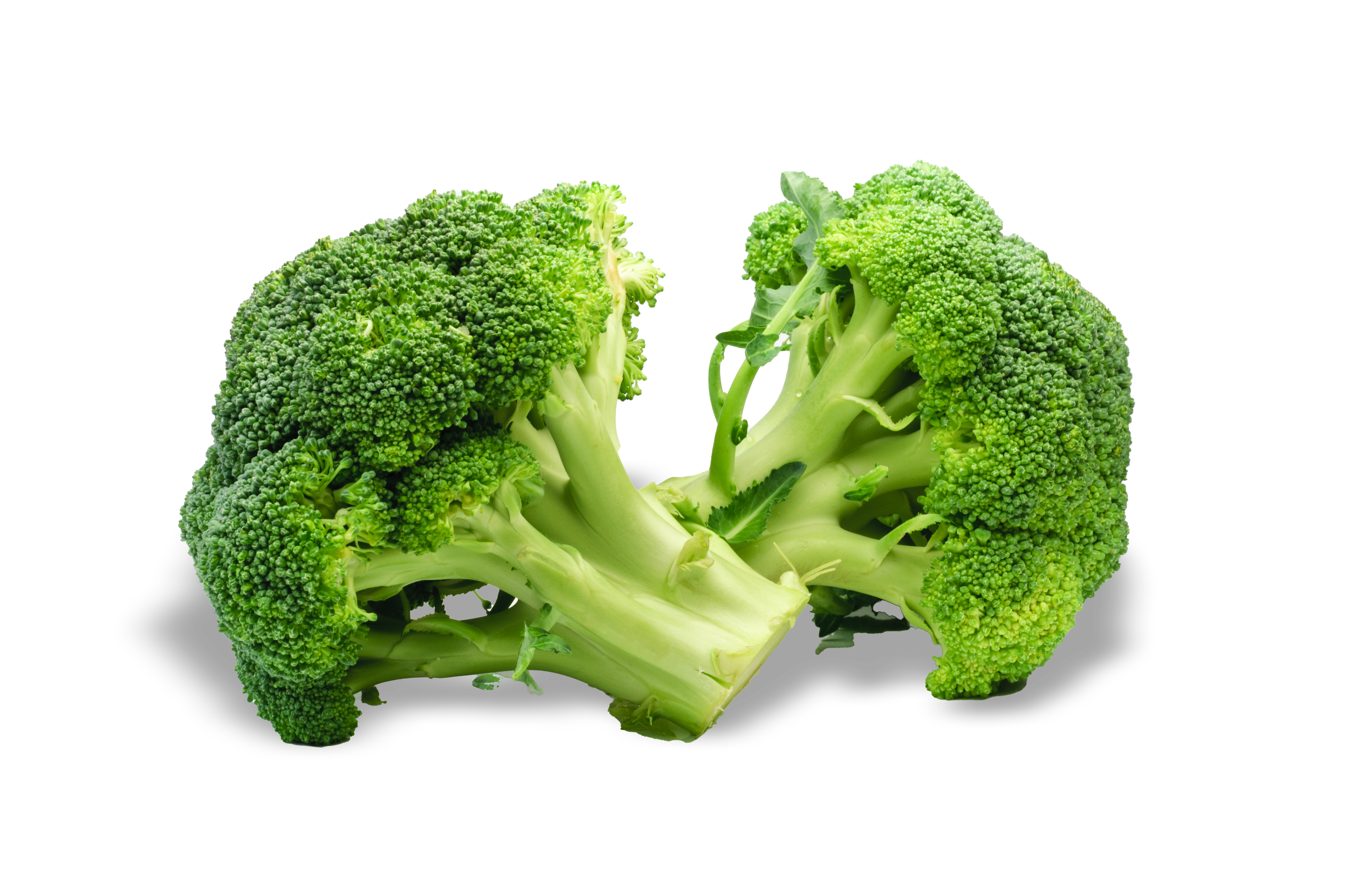 broccoli-cutout